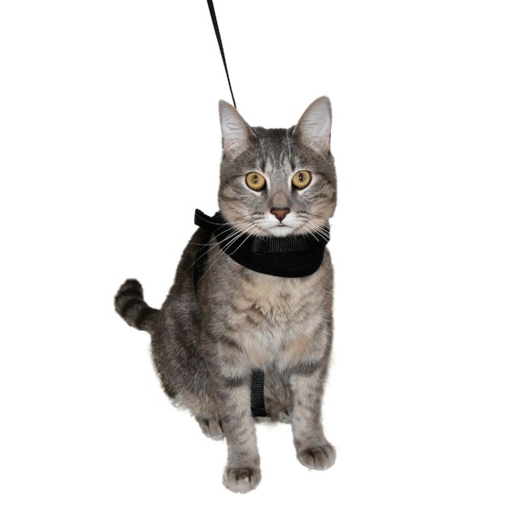 Cat Harness Vest w/ Leash Double Strap Escape Proof Walking Adventure Outdoor - Picture 2 of 9